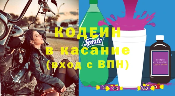 шишки Рославль