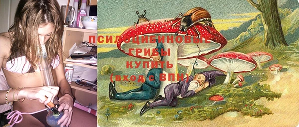 тгк Аркадак
